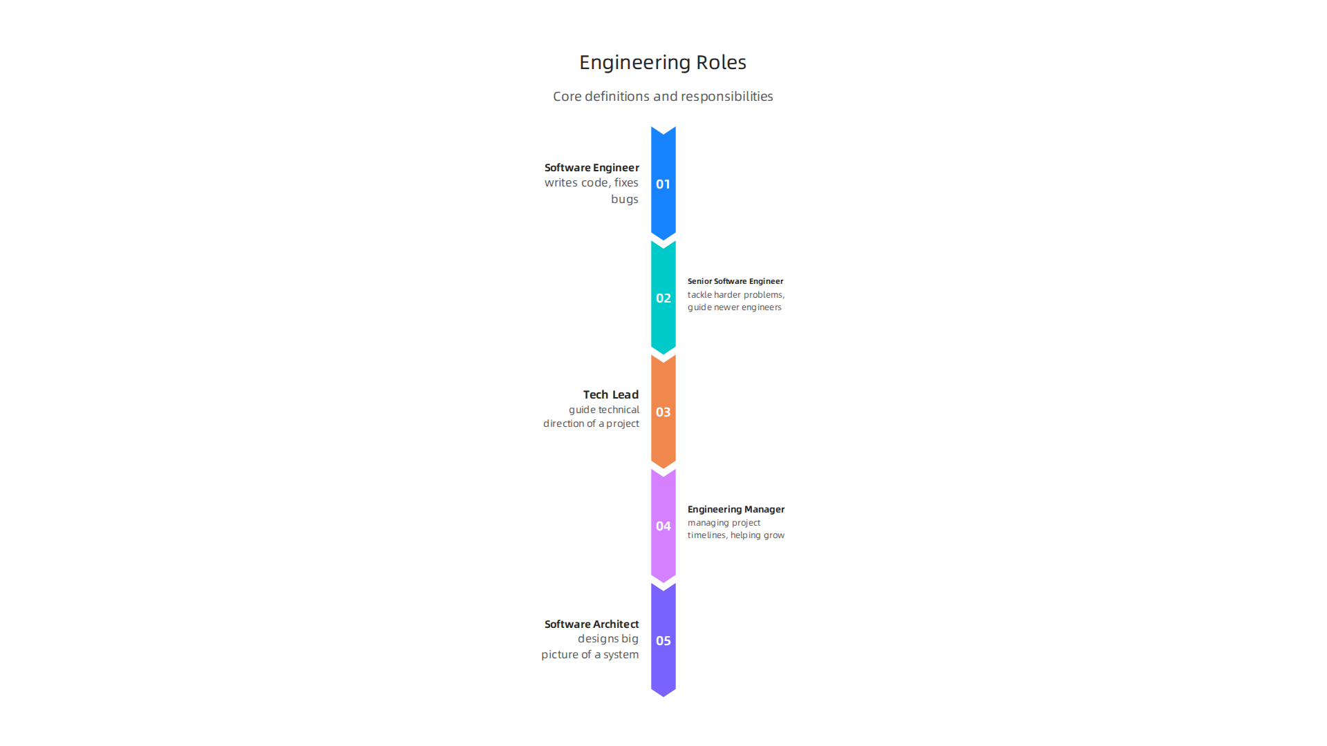 An infographic detailing the definitions and responsibilities of core software development engineering roles.