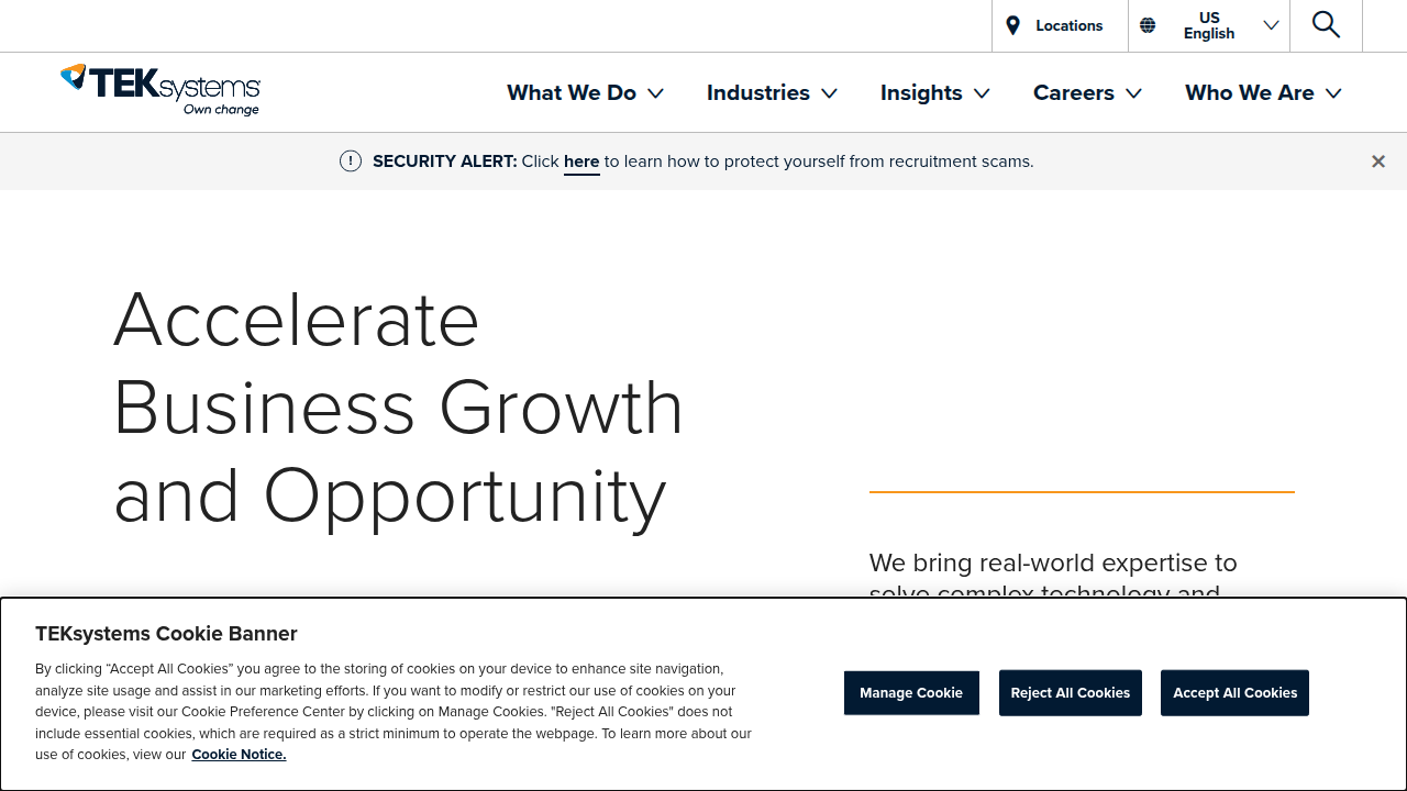 Screenshot of the TekSystems homepage, a leading IT services and staffing company.