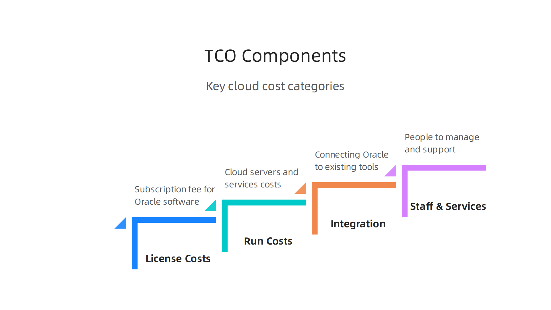 An infographic breaking down the key components that contribute to the Total Cost of Ownership (TCO) for cloud software.